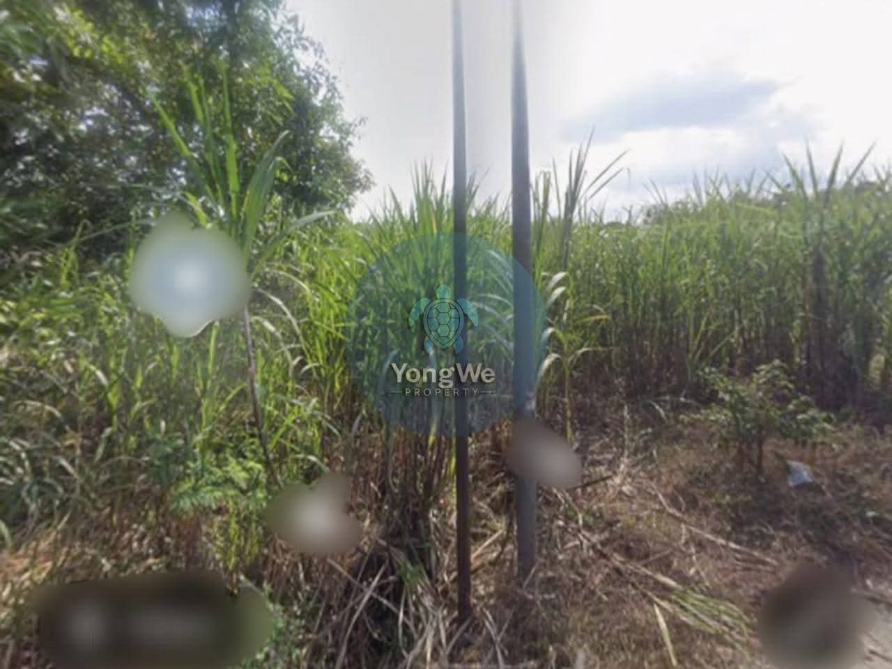 Tampak Depan